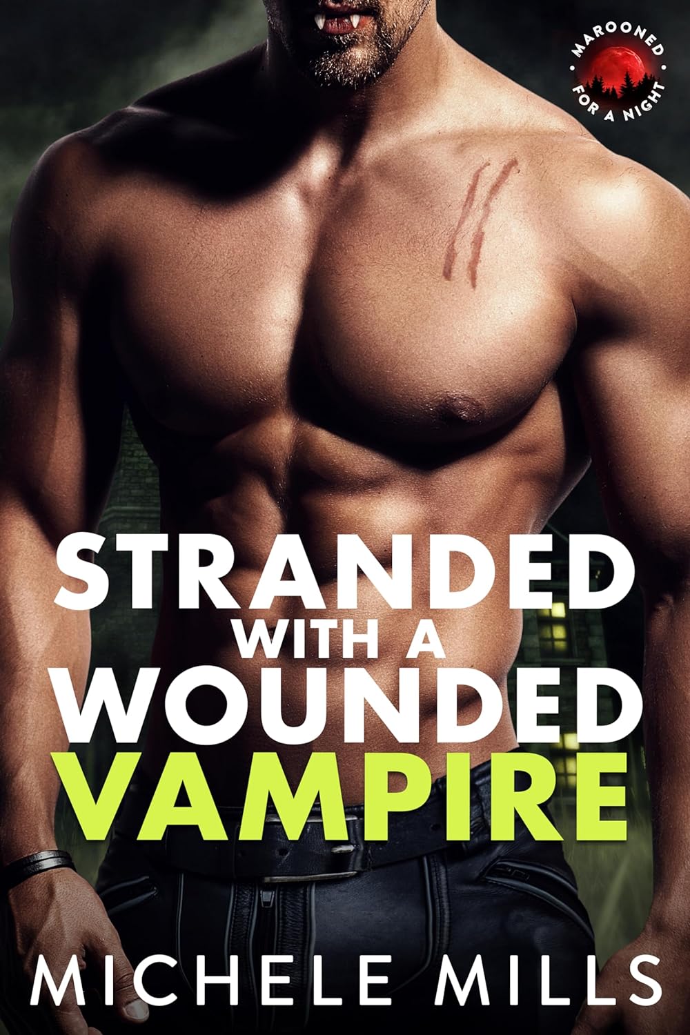 Stranded with a Wounded Vampire (Marooned for a Night, #7)