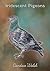 Iridescent Pigeons