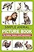 Simple Animal Picture Book for Babies, Toddlers and Preschoolers by Sophie Blake