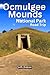 Ocmulgee Mounds National Park Road Trip by Smith Anderson