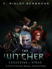 The Witcher 2 - Assassins of Kings: A Fanfiction Novel Adaptation