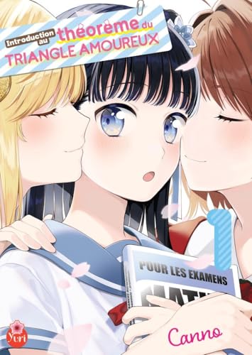 Introduction au théorème du triangle amoureux T01 (Paperback)