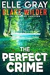 The Perfect Crime