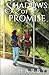Shadows of a Promise