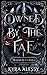 Owned by the Fae: A Fae Dark Romance (The Dark Realms)