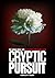 Cryptic Pursuit