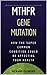 MTHFR Gene Mutation - The S...