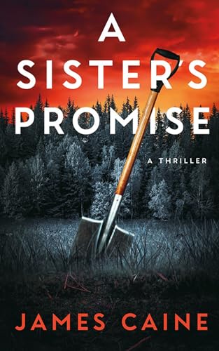A Sister's Promise (Kindle Edition)
