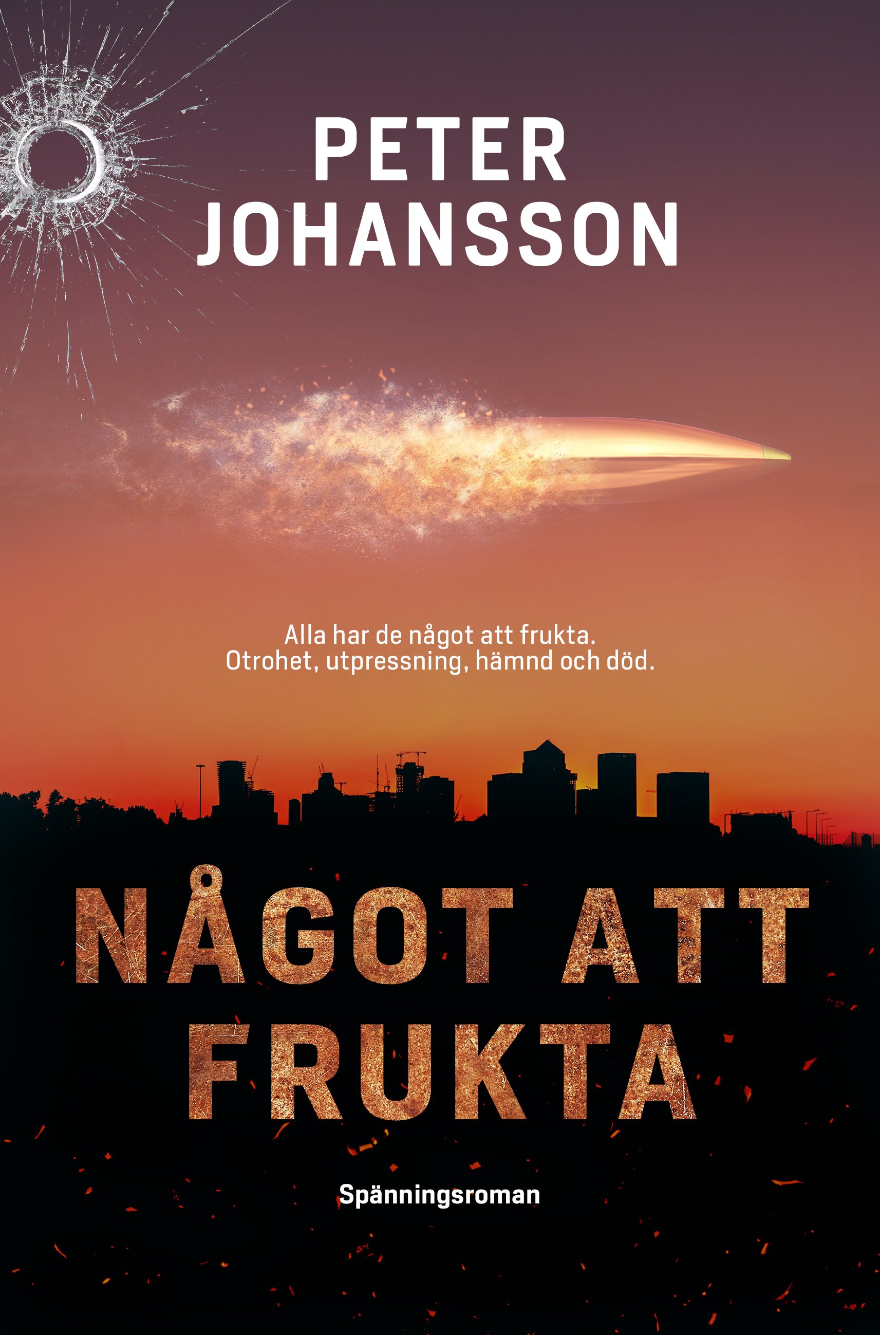 Något att frukta (Elin Strand, #3)