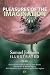 Pleasures of the Imagination