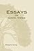 Essays on Gospel Topics
