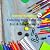 Animal Kingdom Coloring Book for Kids by Animal
