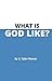 What Is God Like? (Good Que...