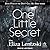 One Little Secret