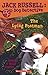 The Lying Postman (Jack Russell: Dog Detective)