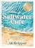 Saltwater Cure: True stories of the transformative power of the ocean