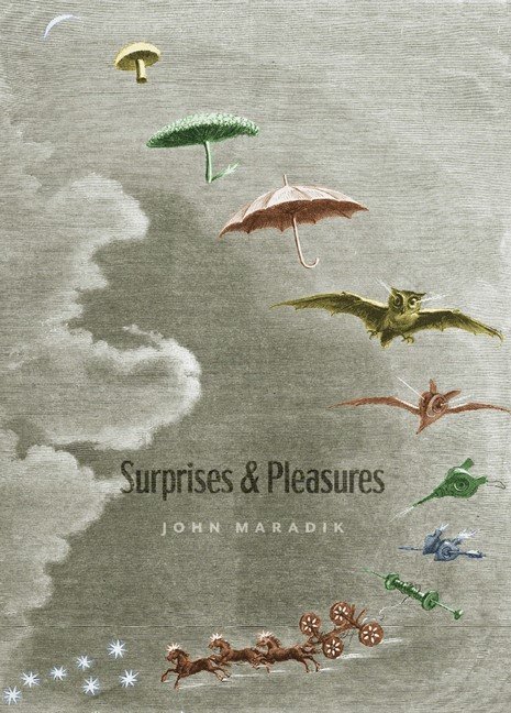Surprises & Pleasures (Paperback)