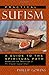Practical Sufism by Phillip Gowins