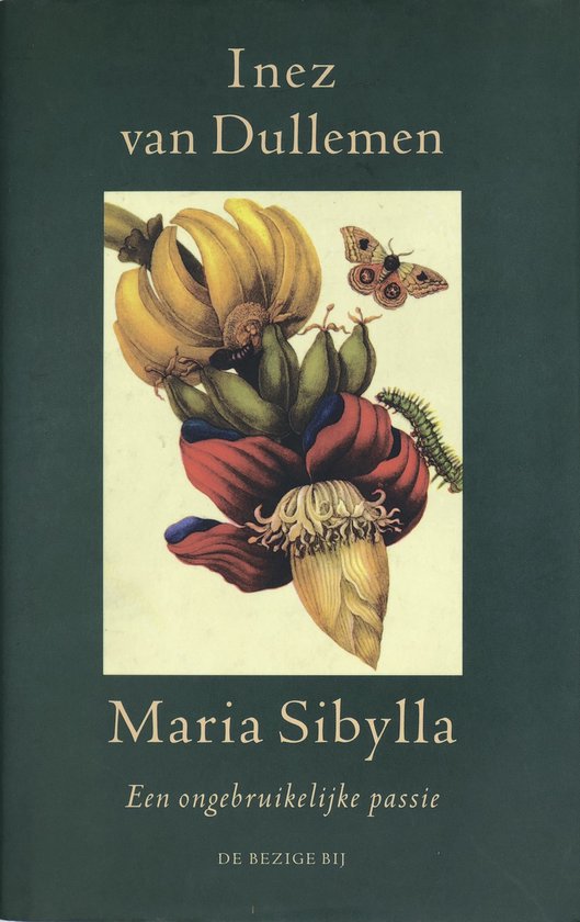 Maria Sibylla: Een ongebruikelijke passie (Hardcover)