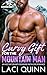 Curvy Gift for the Mountain Man by Laci Quinn