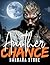 Another Chance : A Paranorm...