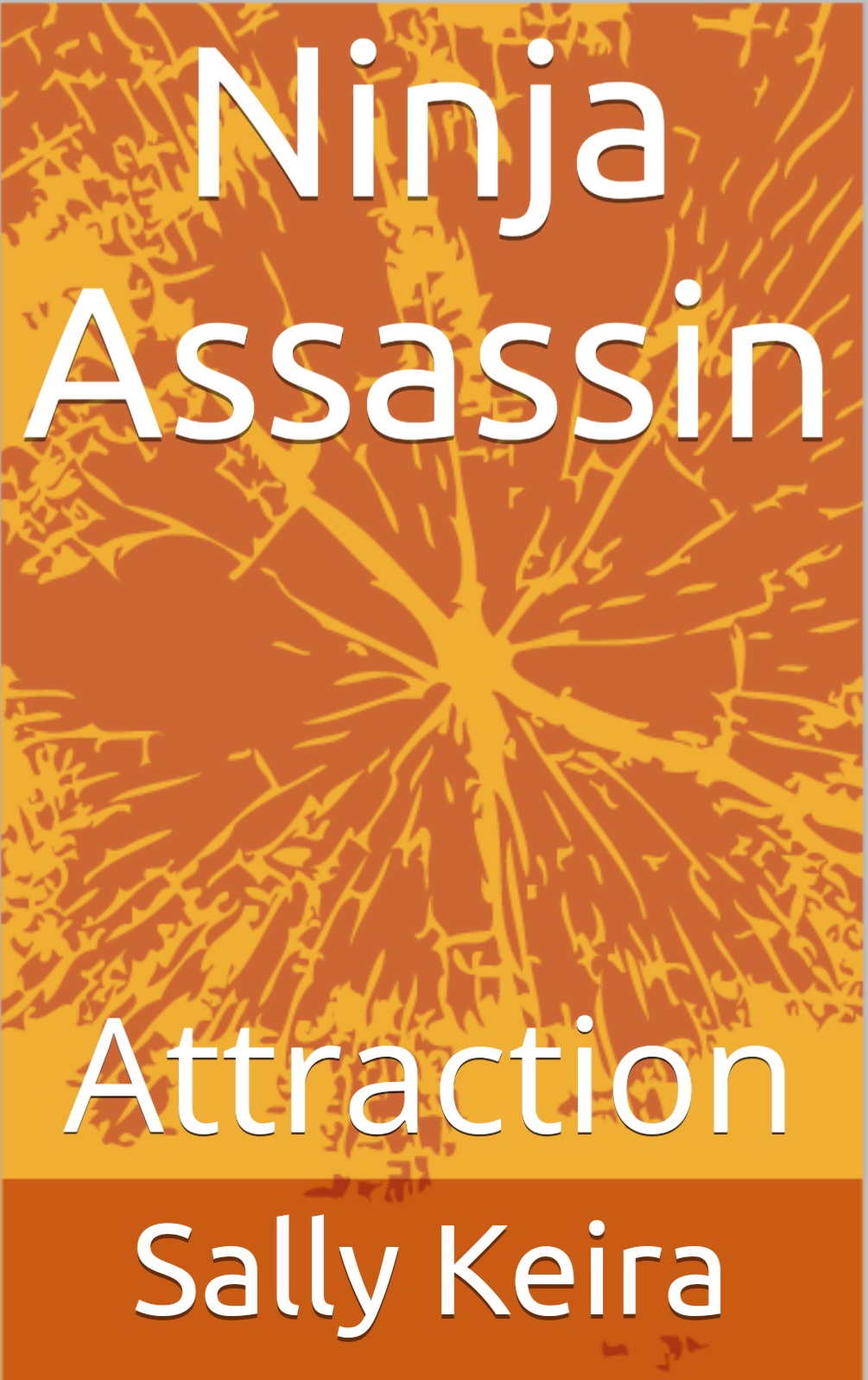 Ninja Assassin: Attraction