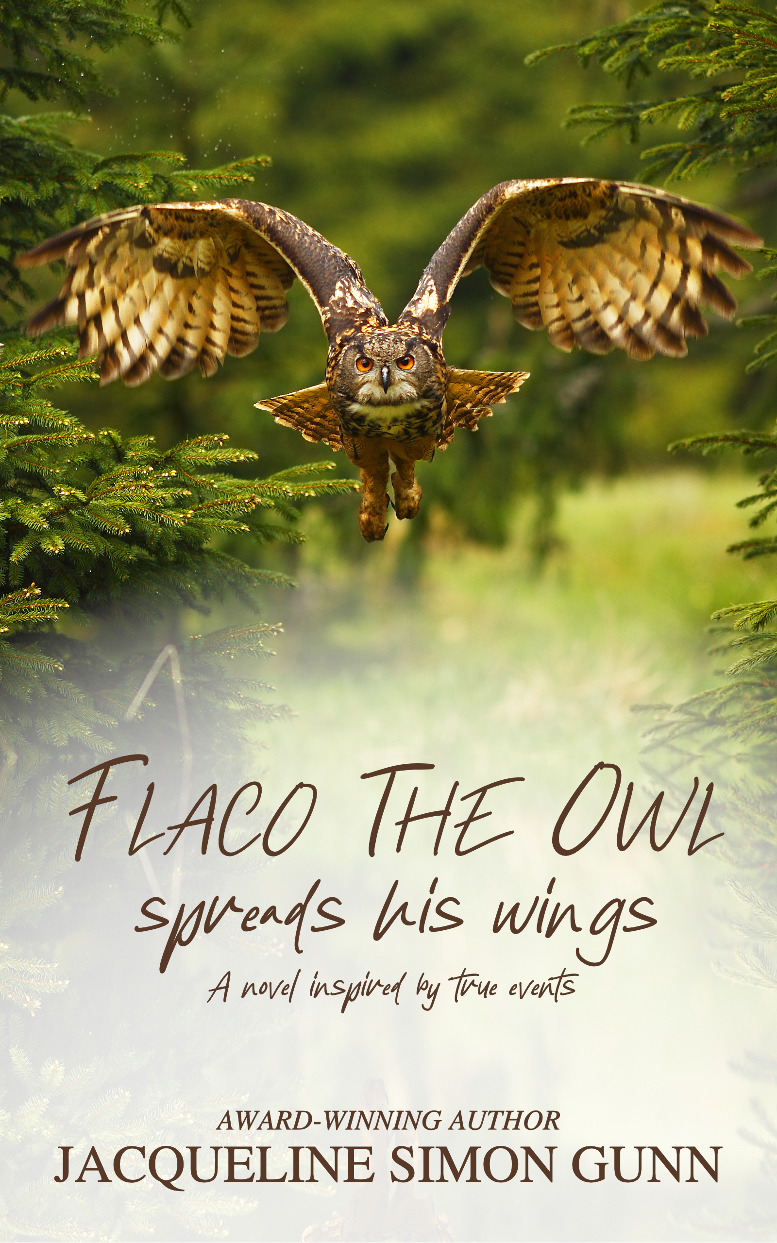 Flaco the Owl Spreads His Wings