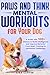 Paws and Thinks - Mental Workout for Your Dog by Lisa Carter