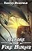 Before the Fire Burns: A Christian Fantasy Adventure
