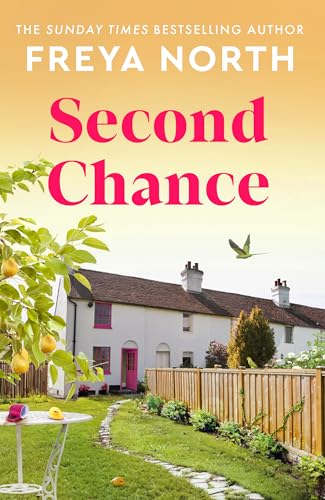 Second Chance (Kindle Edition)