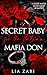 Secret Baby for the Italian...