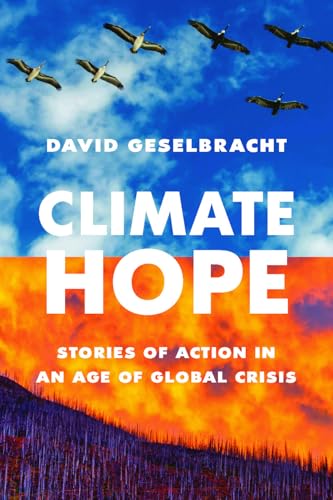 Climate Hope: Stories of Action in an Age of Global Crisis (Paperback)