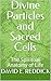 Divine Particles and Sacred...