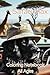 Embark on a Safari Adventure with the "Safari Max by Max Wonder