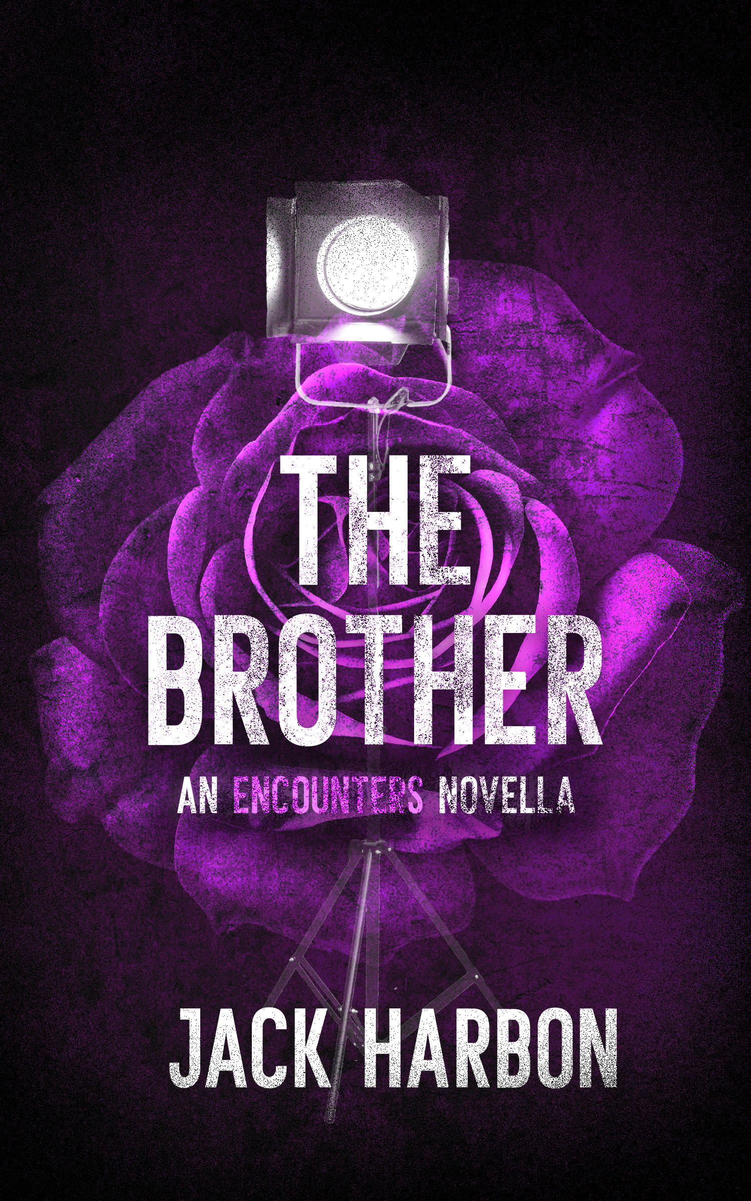 The Brother (Encounters, #2)