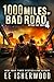 1000 Miles of Bad Road 4: After the EMPs