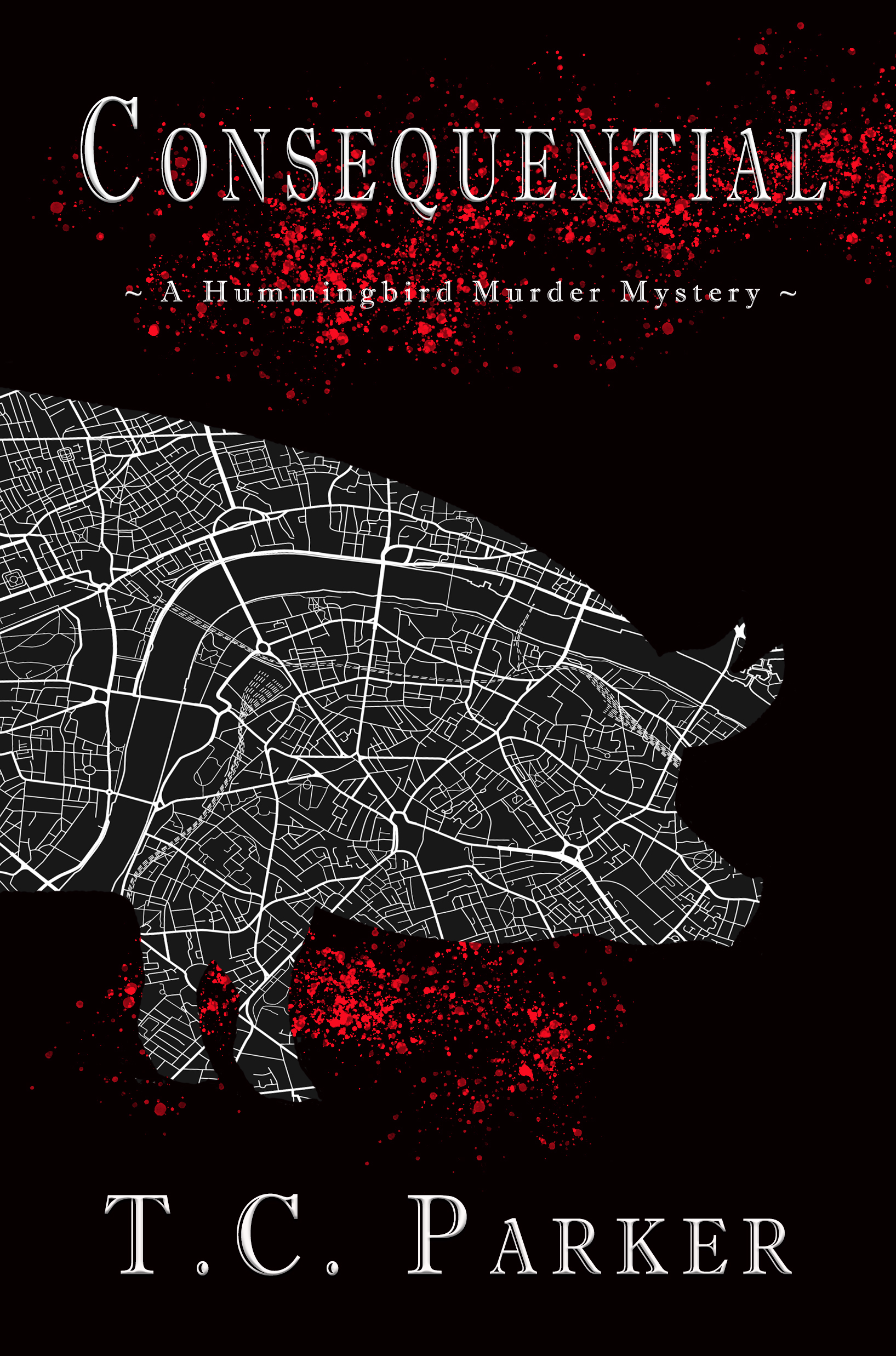 Consequential (Hummingbird Universe, #3)