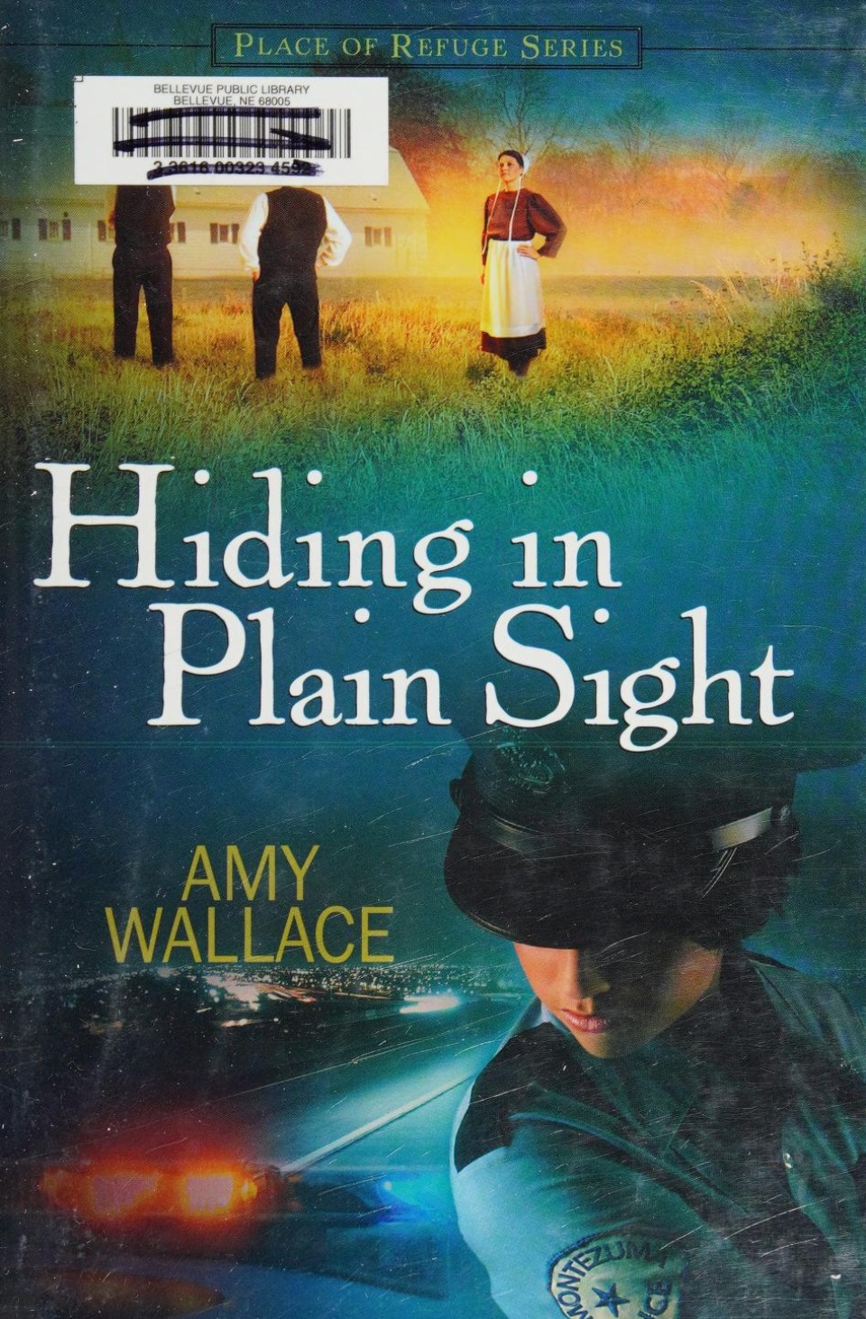 Hidden in Plain Sight