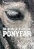 En guide til livet som ponyfar