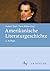 Amerikanische Literaturgesc...