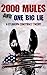 2000 Mules and One Big Lie:...