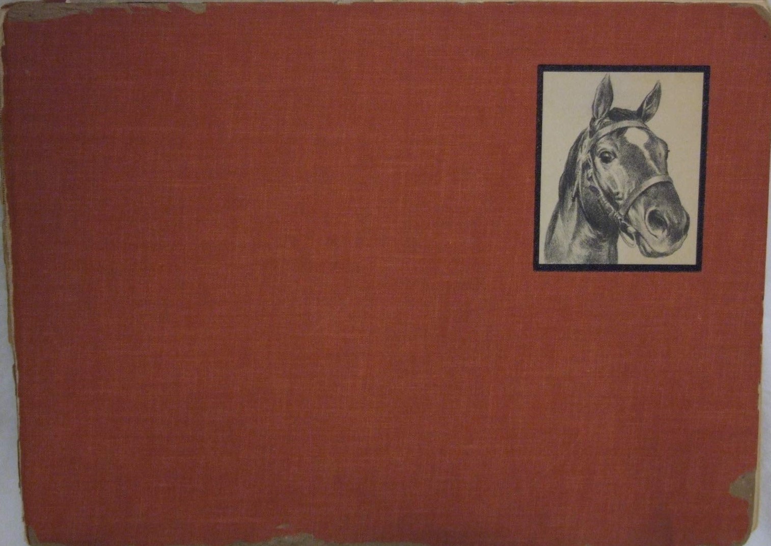 Black, Bay and Chestnut: Profiles of Twenty Favorite Horses