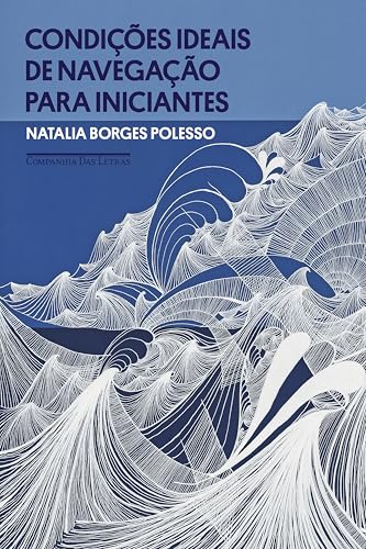 Condições ideais de navegação para iniciantes (Kindle Edition)