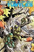 Teenage Mutant Ninja Turtles (2011-2024) #29