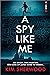 A Spy Like Me