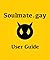 Soulmate.gay User Guide by Richard Levy