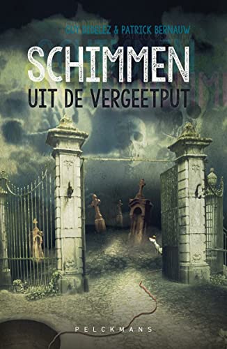 Schimmen uit de vergeetput (Paperback)