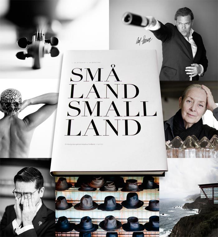 Små Land : [en klurig resa genom kreativa Småland]