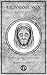 Talismanic Skin: A comparat...