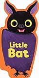 Little Bat by Maggie Fischer